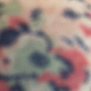 Meet your Posher, Sandy